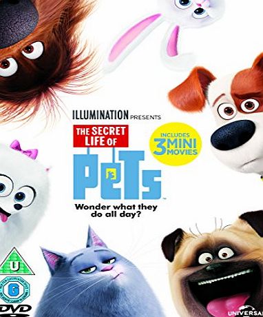 Universal Pictures The Secret Life Of Pets (DVD   Digital Download) [2015]